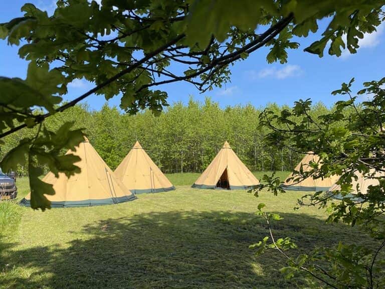 Tipi tenten in de natuur